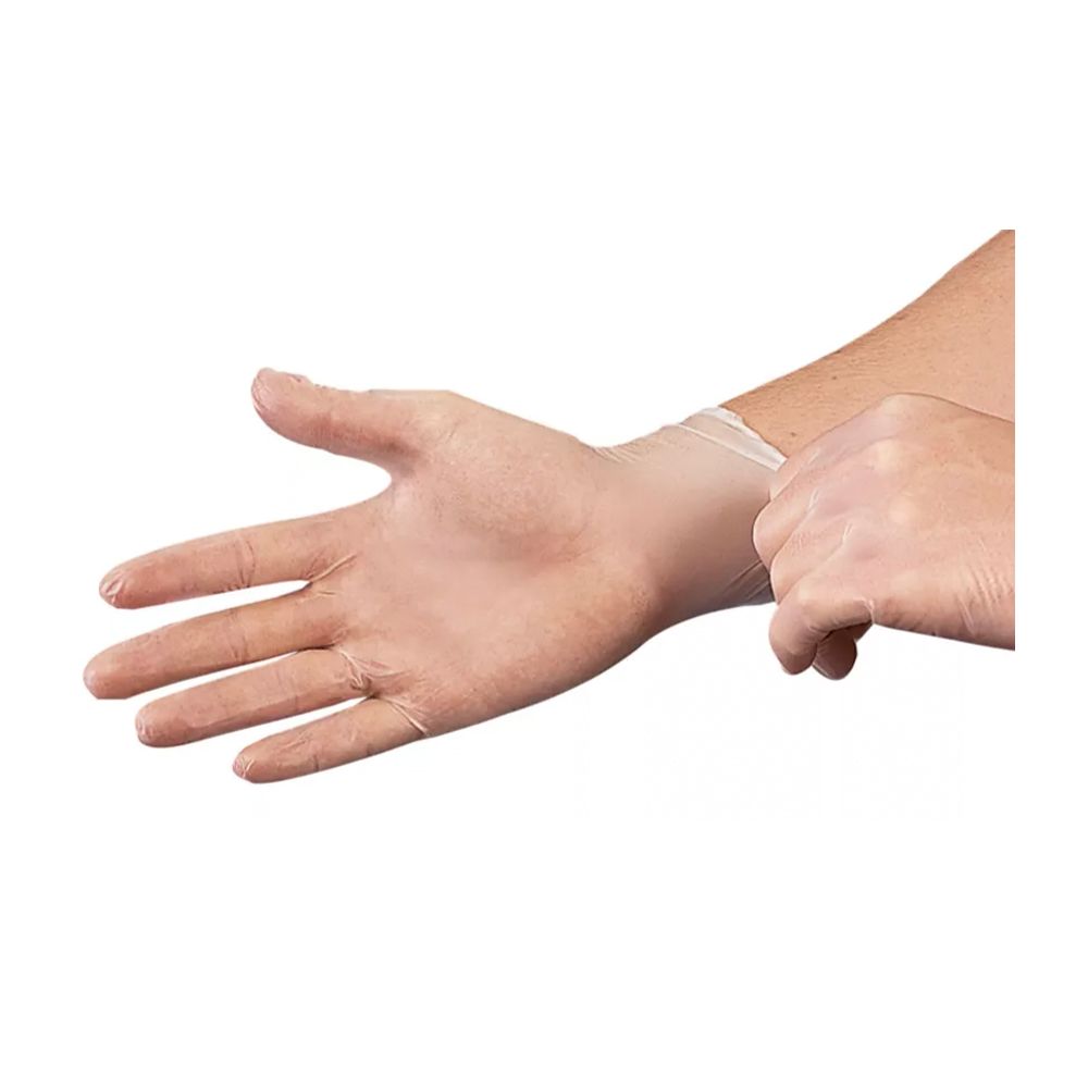 Large Vinyl Powder Free Gloves, 10/100 (1000/cs)